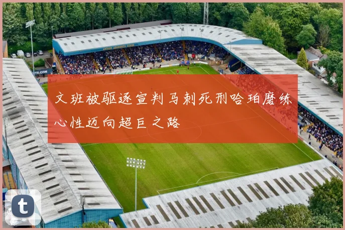 文班被驱逐宣判马刺死刑哈珀磨练心性迈向超巨之路
